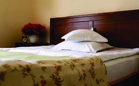 Vila Toparceanu - Therme & Airport Otopeni